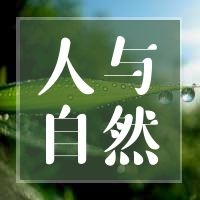 风水浅析 | 搬家一次穷三年？